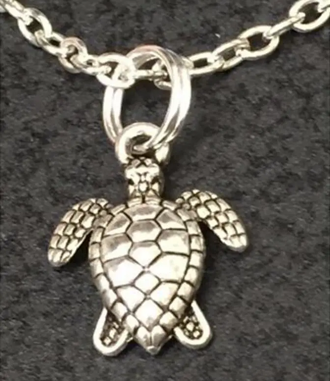 Черепаха белка. Черепаха белка