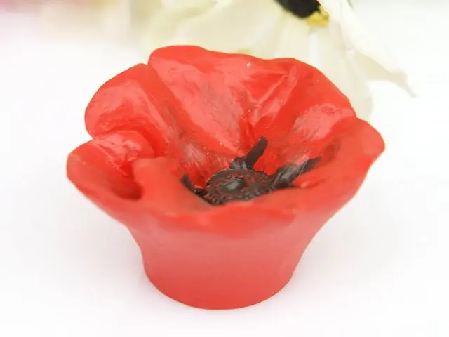 

Child Cartoon Garden Style Red Flower Kitchen Cabinet Handle and Knobs