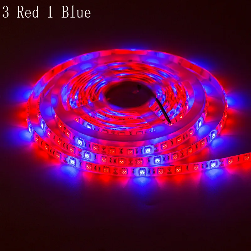 ReBlue Led лампы рассада светодиодный светильник AC/DC 12V растительная лампа для выращивания растений с питанием от источника full spectrum Led 3:1 4:1 5:1 для растений, 1 м, 2 м, 3 м, 5 м