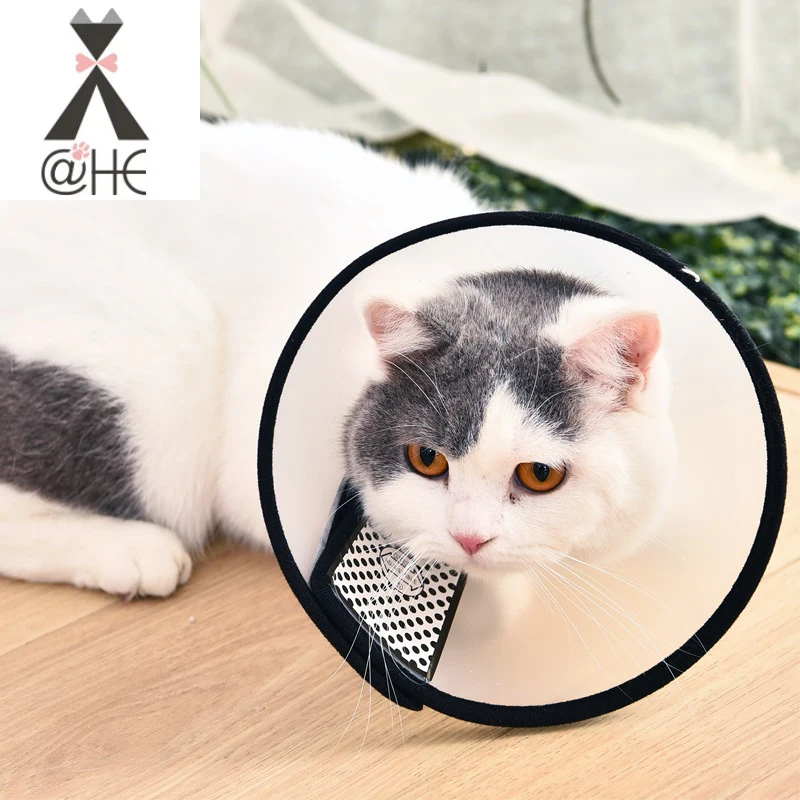 Защитный ошейник для домашних животных конусный восстановления шеи и собак