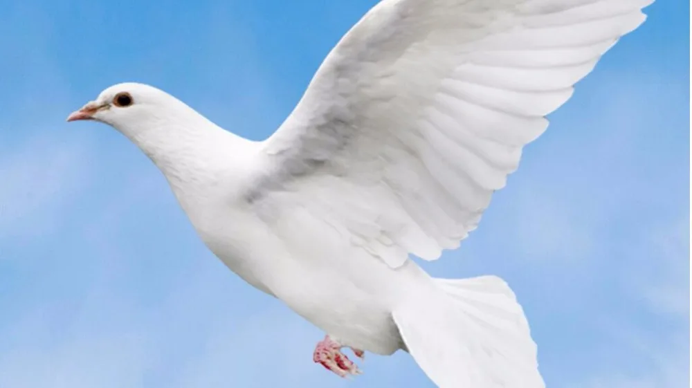 Настенные 3d фотообои на заказ рисунок Ловца снега гор домашний декор настенные