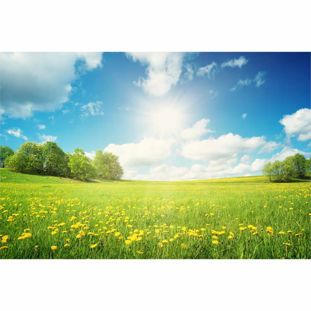 Allenjoy photographic background Field with yellow dandelions and blue sky spring warm sun new backdrop photocall photo printed |