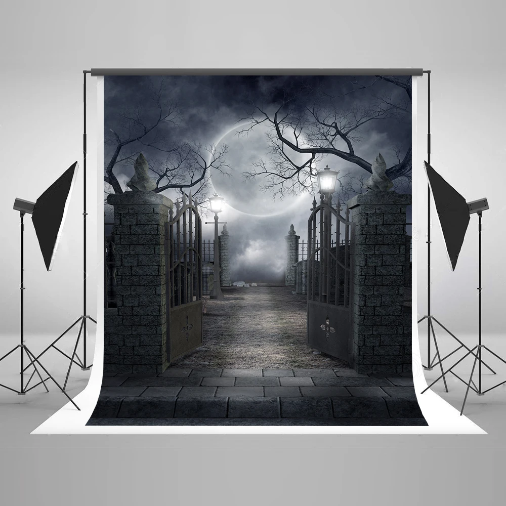 VinylBDS 10x10ft хэллоуин фотография фон железные ворота камера с Луной для детей