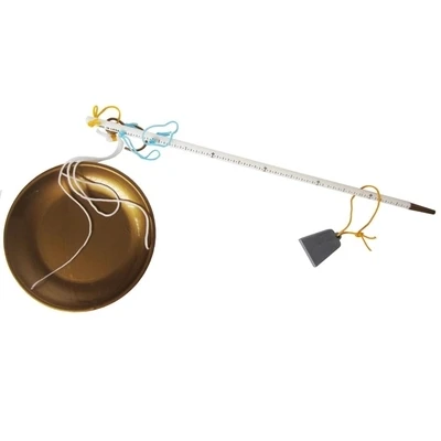 Детская пластиковая игрушка точные весы Сенсорное раннее детское образование