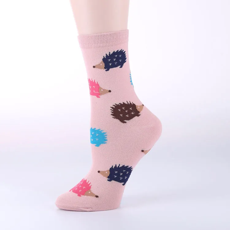 OLN новые модные Kawaii женские носки Hedgeh с животными Лот 5 пар Harajuku носки с героями мультфильмов для корейских рождественских подарков