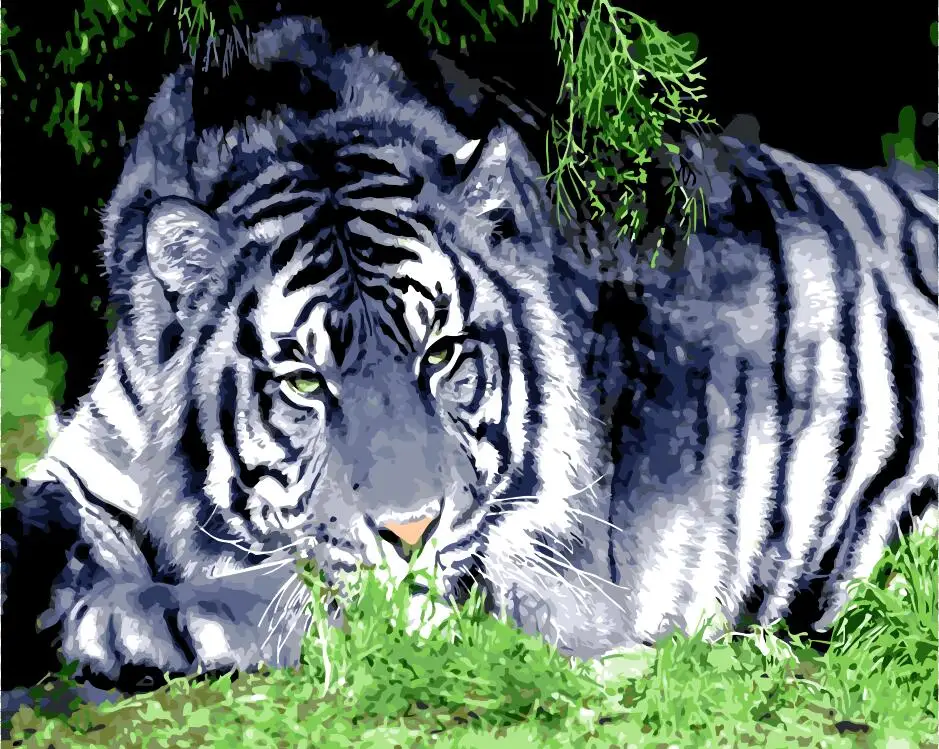 Белая картина маслом с изображением тигра фотографии по номерам цифровые Париж