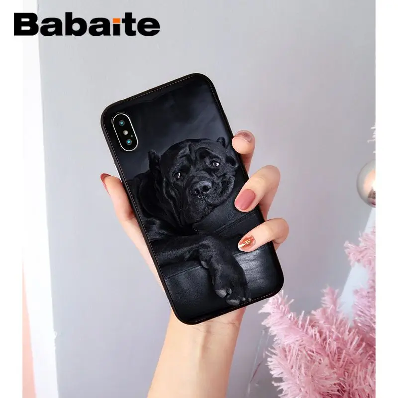 A9 Babaite прекрасный питомец питбуль Новинка чехол для телефона Fundas чехол для iPhone X XS MAX 6 6S 7 7plus 8 8Plus 5 5S XR чехол - Цвет: A9