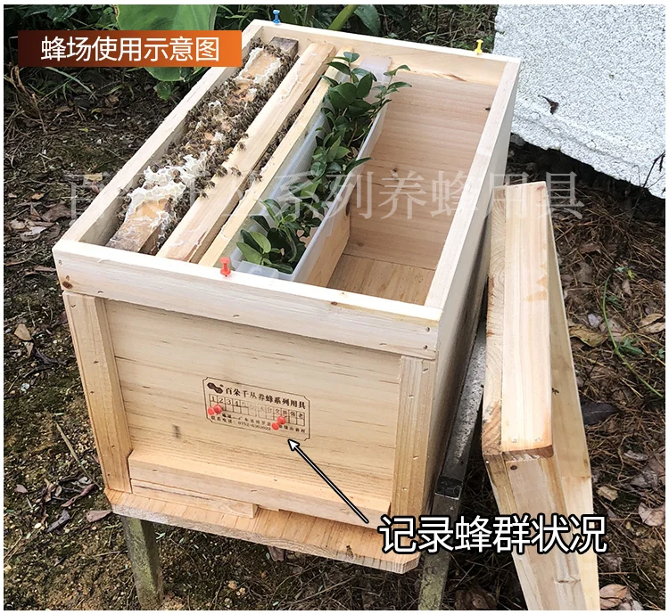 Chinese Fir Beehive Beekeeping Tool Set Pine Wooden Bee Hives In Beehive Box