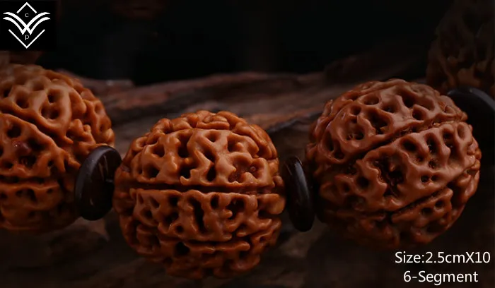 Rudraksha 6 сегментов 25 мм x 10 сетчатый Браслет Будды с бусинами | Украшения и