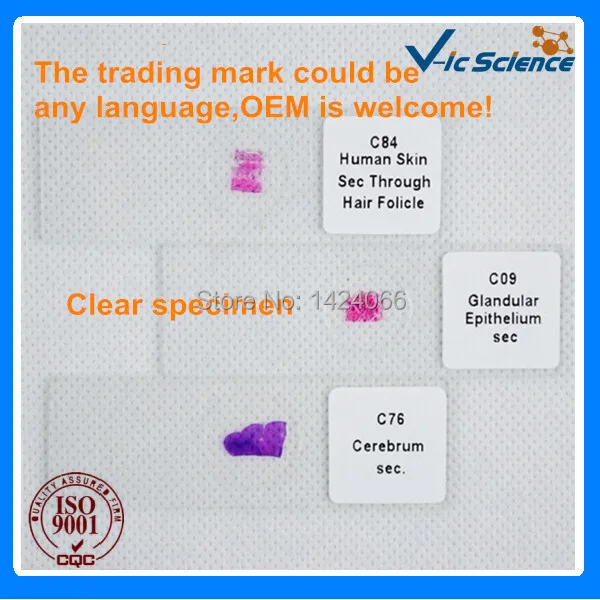 Медицинские науки человека Гистология горки набор из 100 шт|human histology slides|histology