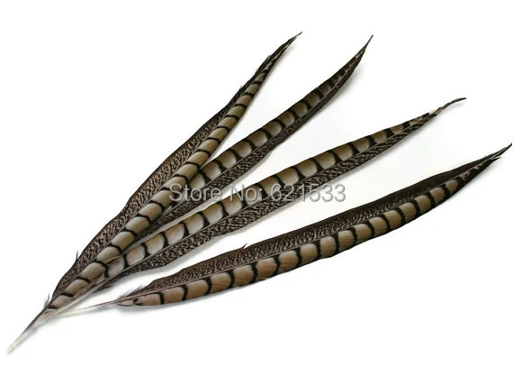 

Длинные перья фазана, 100шт. 14-16 "35-40 см натуральные женские перья из хвоста фазана, перья из хвоста фазана