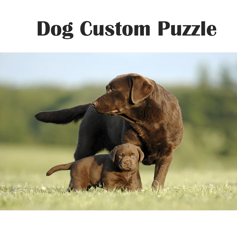 Пазл деревянный Монтессори для раннего обучения 1000 шт.|Пазлы| |