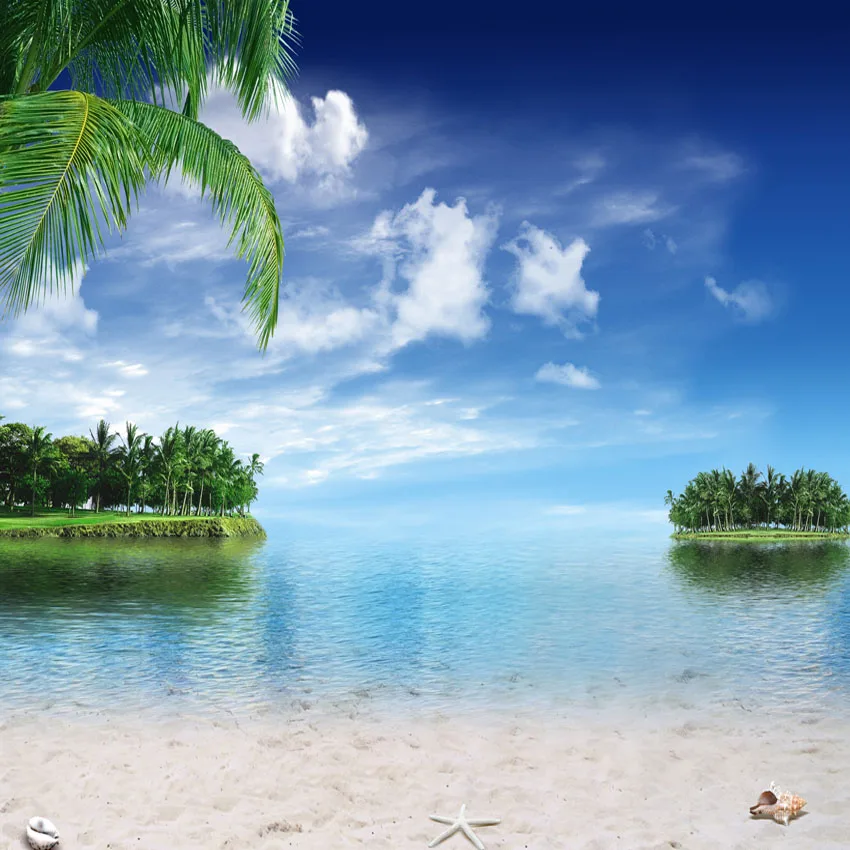  Summer Island Forest Background Blue Sky Sea Backdrop Photography Sandy Beach S-166 | Электроника
