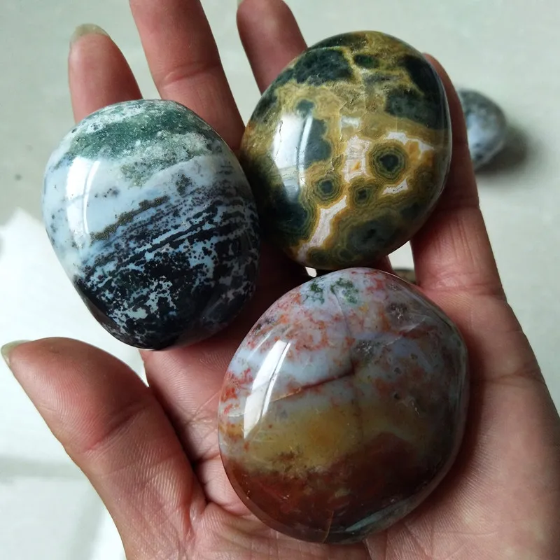 Камни и кристаллы натуральный морской яшма пальмовый камень украшения