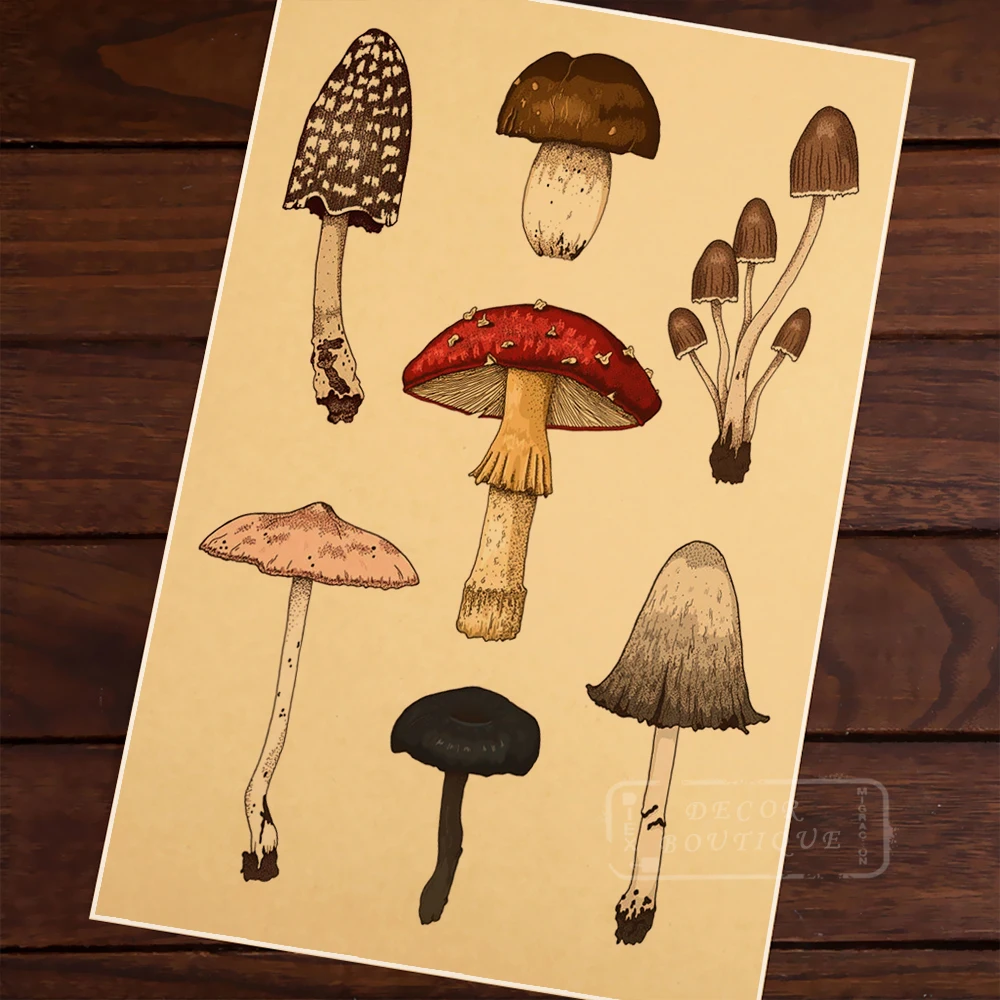 Картина постер сделай сам на холсте с изображением диких грибов|decorative poster|paper