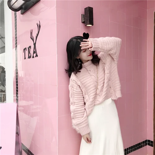 Loose High Collar Long Sleeve Sweet Pink And Blue Female Warm Winter Lady Sweater | Женская одежда