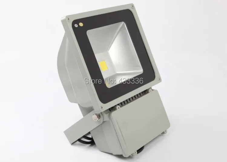 Светодиодный Наружный свет 100 Вт 6 шт. refletor прожектор 110v120v220v230v240v focos led внешний вид