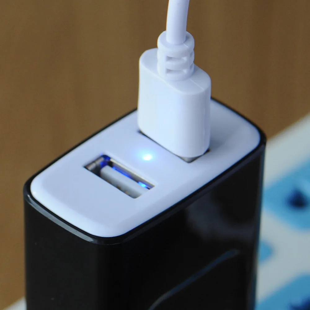 USB зарядное устройство для путешествий с двумя usb разъемами 2.4A штепсельная вилка