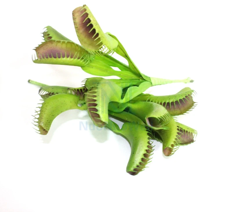 Искусственное растение NuoNuoWell 9 5 дюймов венерина Flytrap зеленое/фиолетовое средство