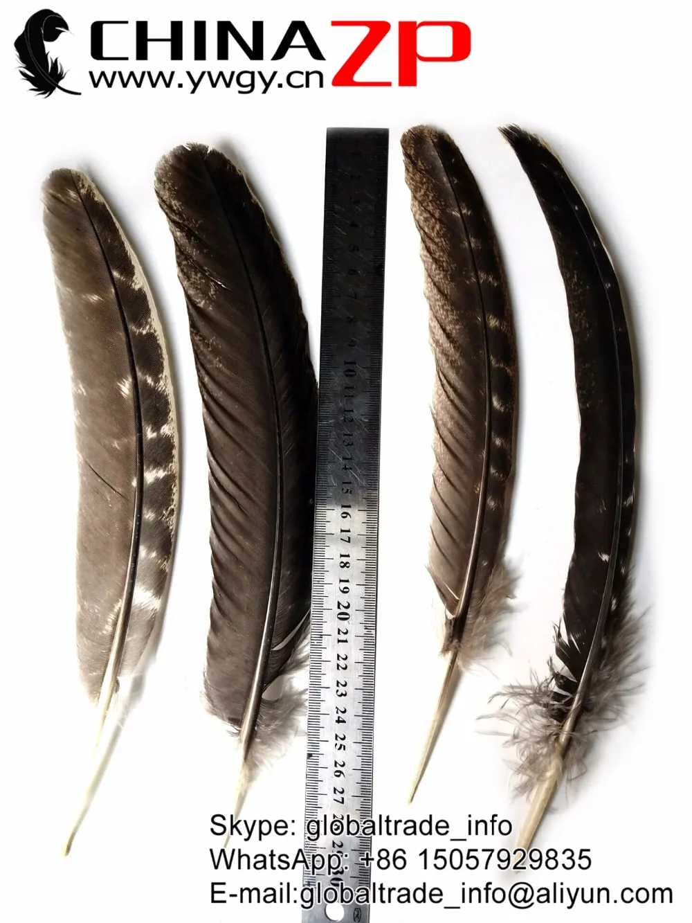 Китайские перышки с перьями 50 шт./лот размеры от 20 до 28 см|quill feather|wild turkeyfeather quill |