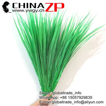 Chinazp Перо S 65-70 см(26-28 дюймов) красивый цвет Samba Костюмы зеленый окрашенные Длинные Золотой Фазан Центр Хвост Перо для продажи - Цвет: Green