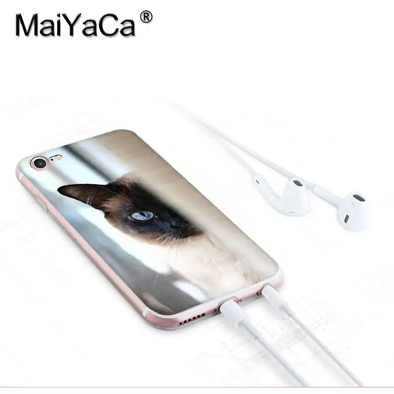 MaiYaCa для iphone 7 6 X Чехол для домашних животных сиамский Кот Прозрачный чехол для iphone 8 7 6 6S Plus X 10 5 5S SE 5C XS XR мобильный чехол - Цвет: 1