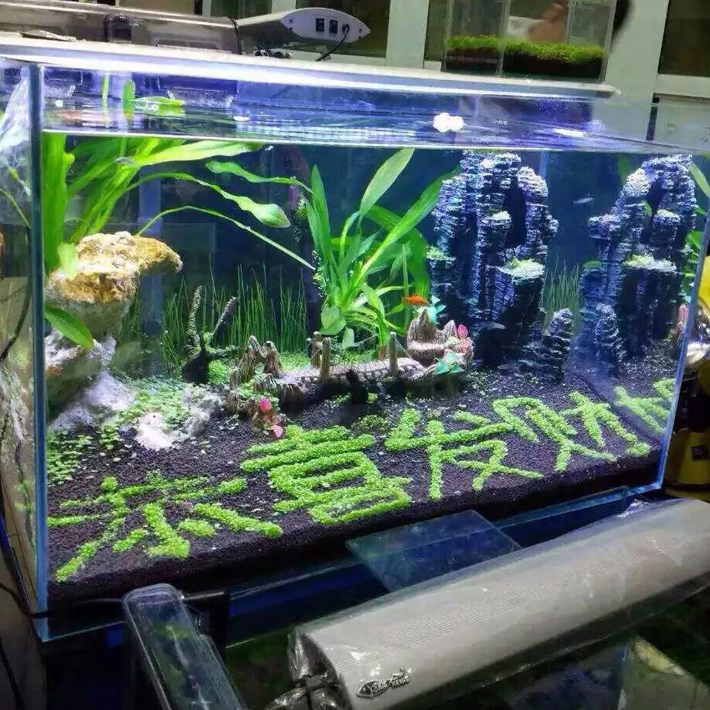 Много аквариумных растений семена водной двойной листовой ковер вода трава аквариум Декор