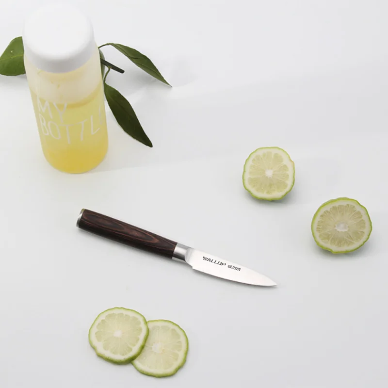 Wallop Paring knife 3.5 inch Kitchen Fruit Knife Cutter High Carbon Stainless Steel Razor Sharp for Precise Cutting Wood Handle | Дом и сад