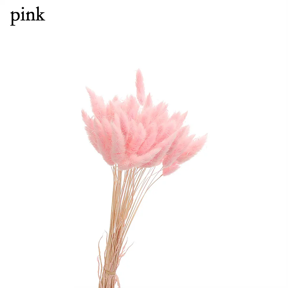 pink 50 шт. сушеные натуральные Цветочные букеты Uraria Picta& Rabbit Tail трава букеты и красочные lagunus Ovatus букеты грозди стрельба - Цвет: pink
