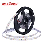 Ленсветильник Светодиодная гибкая, 5 м, 60 светодиодов, 12 в пост. Тока