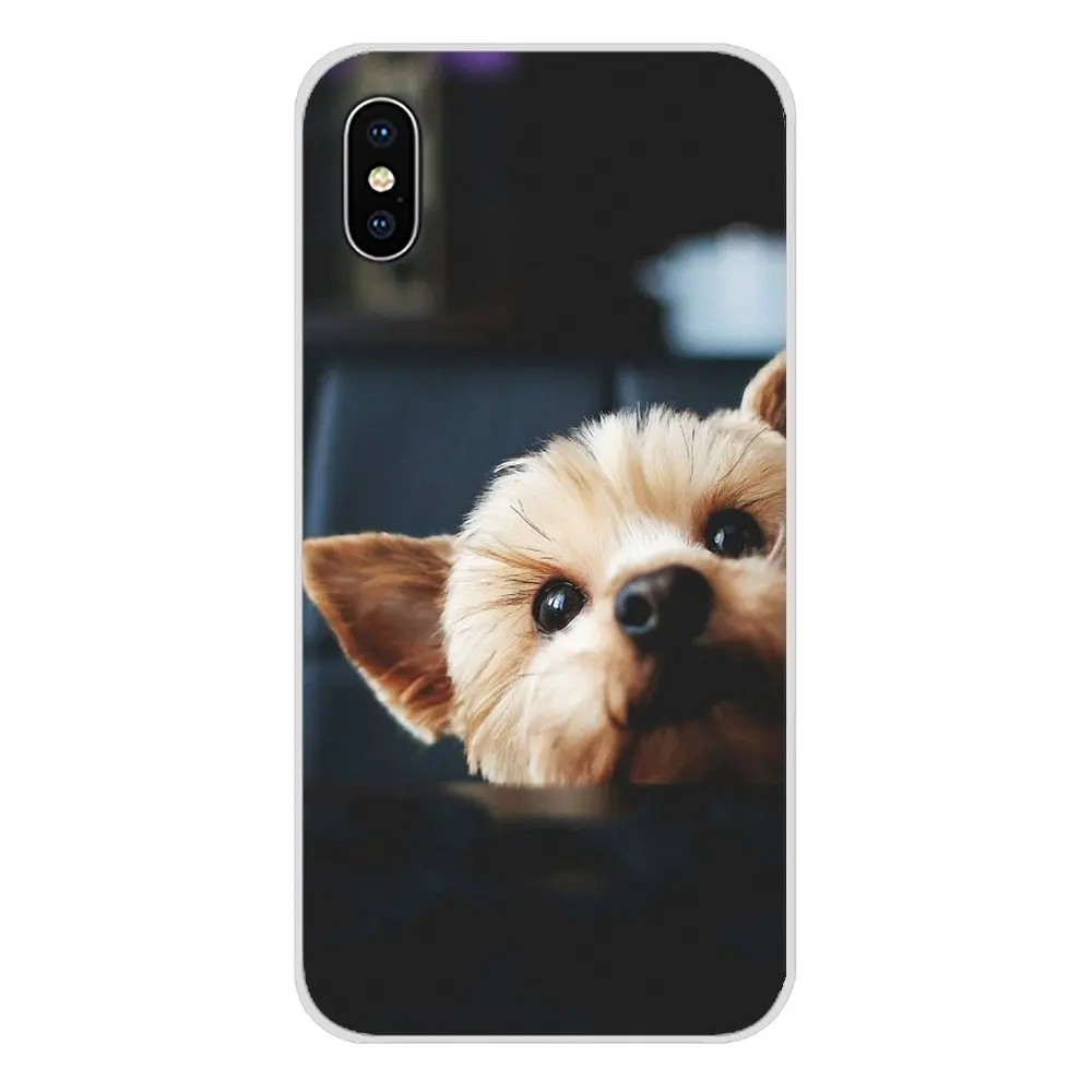 Прозрачные мягкие чехлы Йоркширский терьер щенок собака для Samsung Galaxy S3 S4 S5 Mini S6 S7