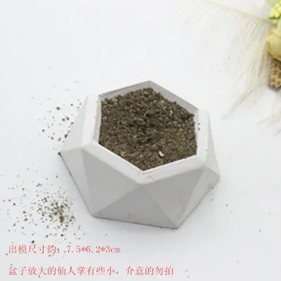 Многомясообразная Ромбо форма для горшечных растений серия парфюмерных