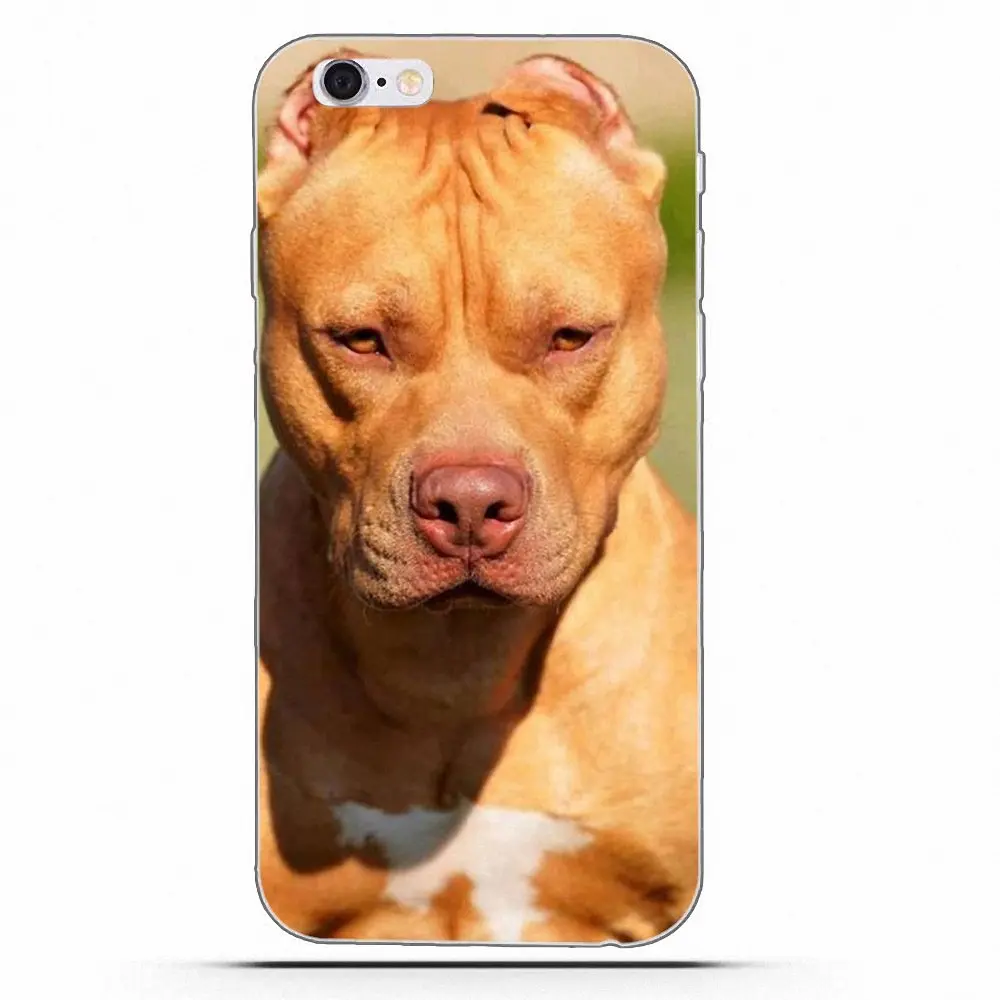 Wexoeq голубые большие наушники с защитой для Apple iPhone X 4 4S 5 5C 5S SE 6 6S 7 8 Plus | Мобильные