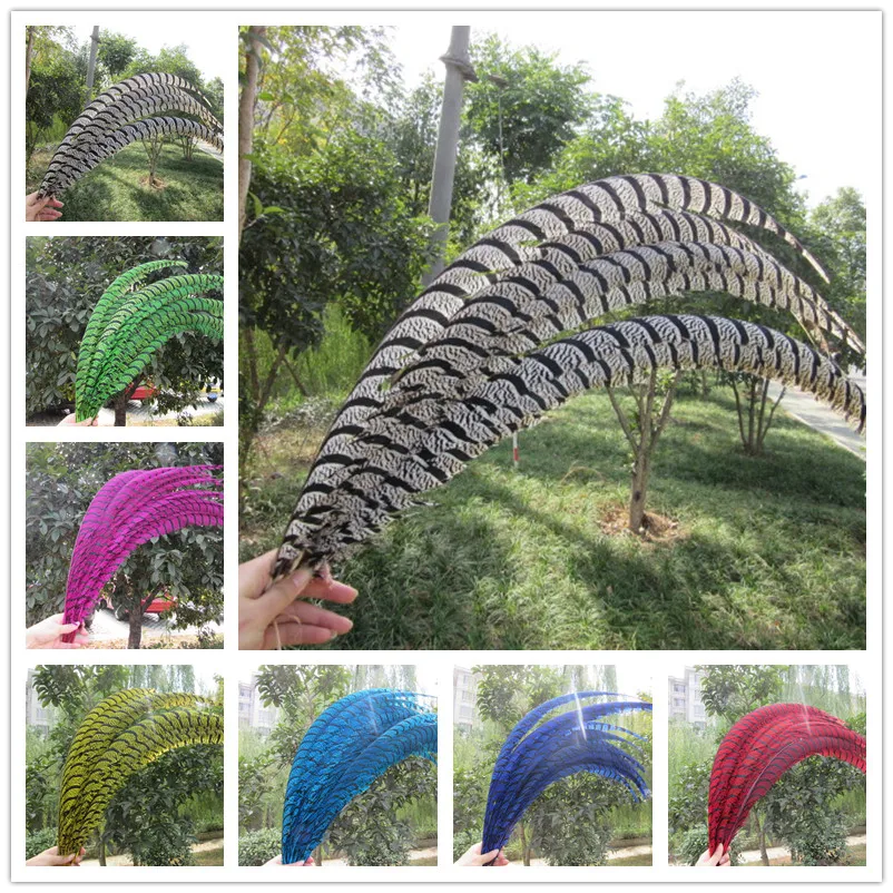 

YY-tesco 500pcs natural Lady Amherst Pheasant Feathers 80-90cm/32-36inch Wedding Accessories Stage performance diy Carnival diy