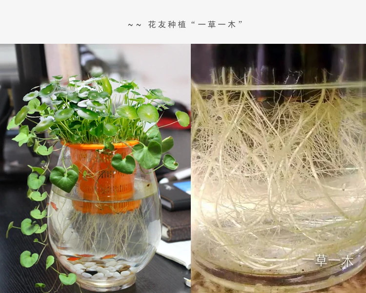 Гидропонная посадочная корзина Детская коробка|nursery box|hydroponic planting basketnursery basket |