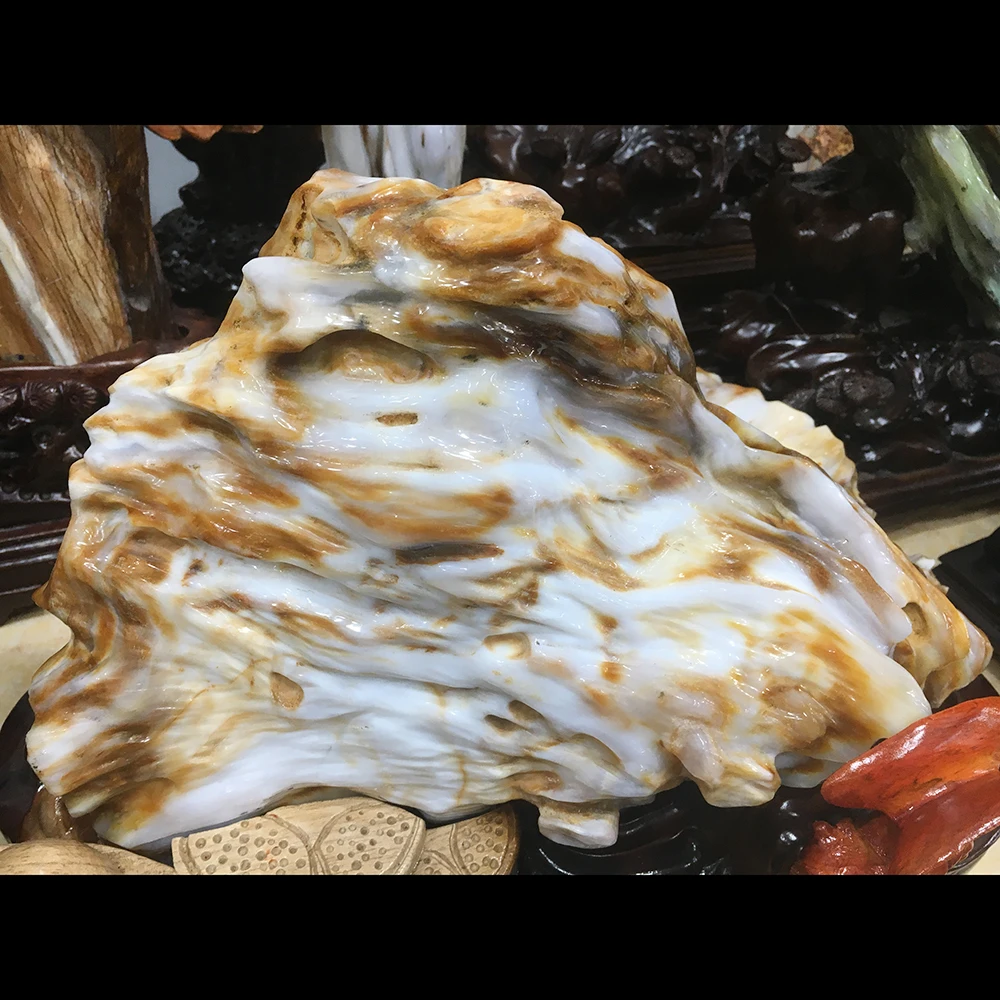 Большой Размеры! Натуральное дерево Fossil Jade фигурка дерево Fossil Jade образец минерала хрустальные камни украшение дома и деревянная подставка