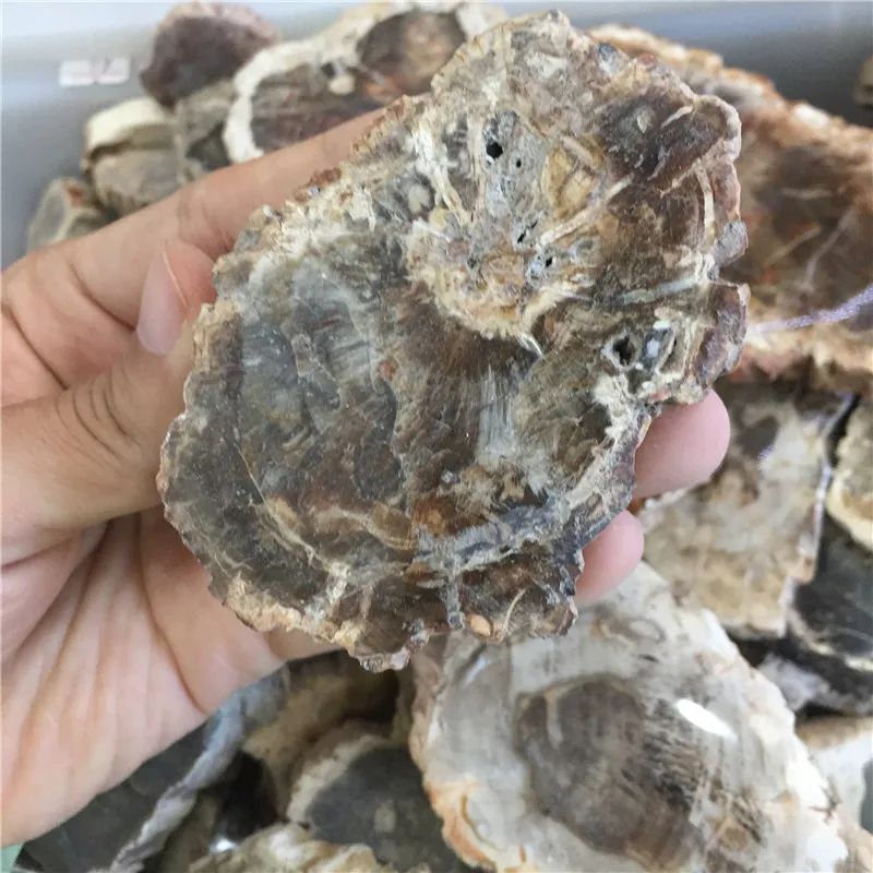 Специальное предложение 1 шт. Редкие натуральные камни и минералы дерево