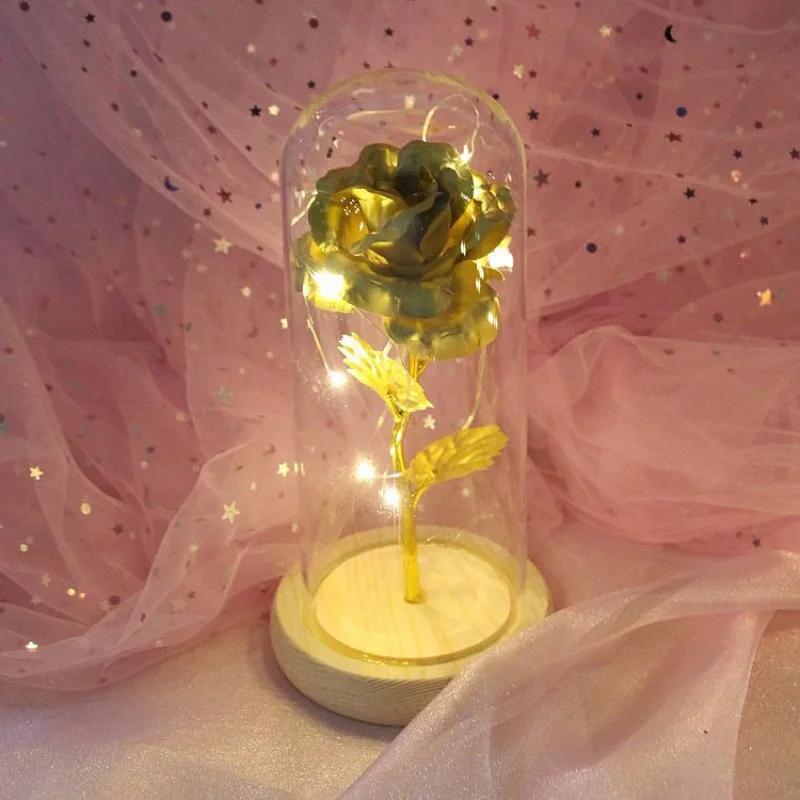 G2 Beauty Rose and Beast светодиодный светильник-гирлянда с красным цветком, настольная лампа, романтический подарок на день Святого Валентина, День рождения, украшение - Цвет: G2