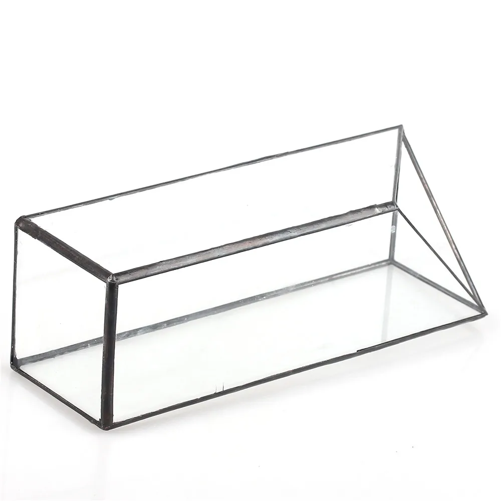 Аквариумные водные растения длинная четырехугольная призма геометрическая