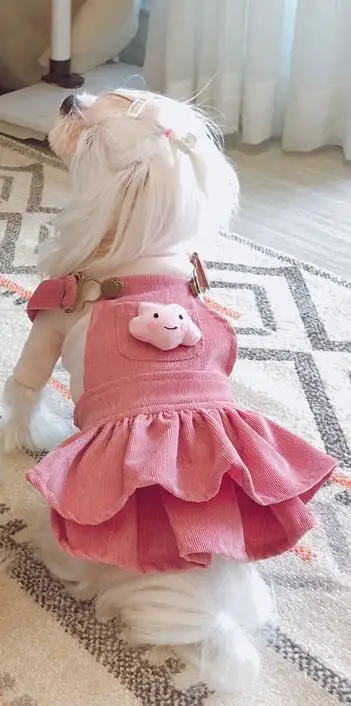 dress and Shirt Red Теплая одежда для маленьких собак, мягкая зимняя одежда для домашних животных, одежда для собак, зимняя одежда для чихуахуа, платье для собак, хлопковый наряд для домашних животных - Цвет: dress and Shirt Red