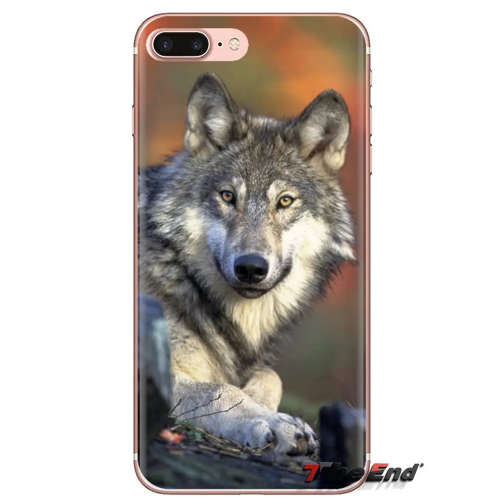 Мягкие прозрачные чехлы для Huawei Nova 2 3 2i 3i Y6 Y7 Y9 Prime Pro GR3 GR5 2017 2018 2019 Y5II Y6II wolf animal |