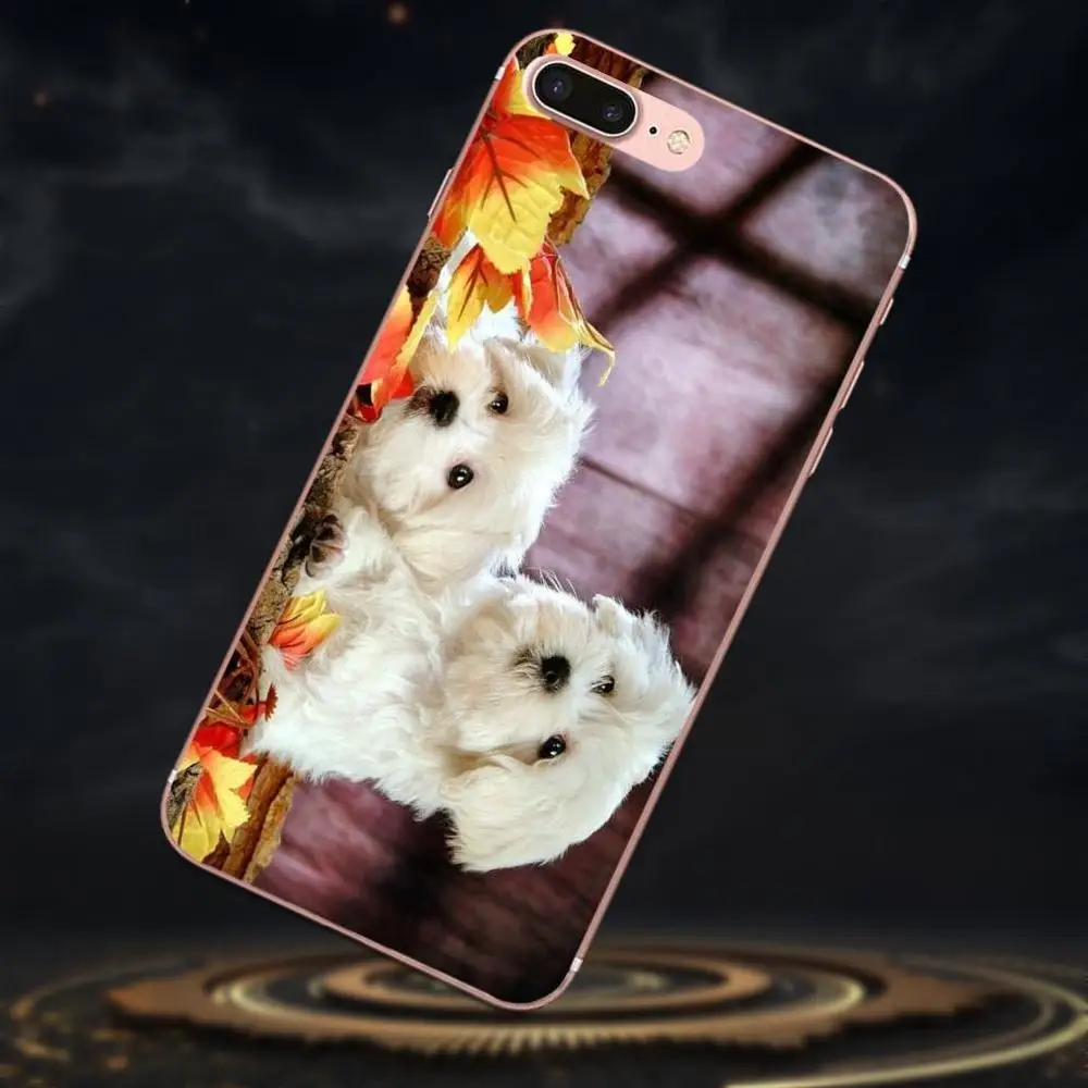 Мягкий чехол для Sony Xperia Z Z1 Z2 Z3 Z4 Z5 compact Mini M2 M4 M5 T3 E3 E5 XA XA1 XZ Premium I Love My Bichon Frise Dog