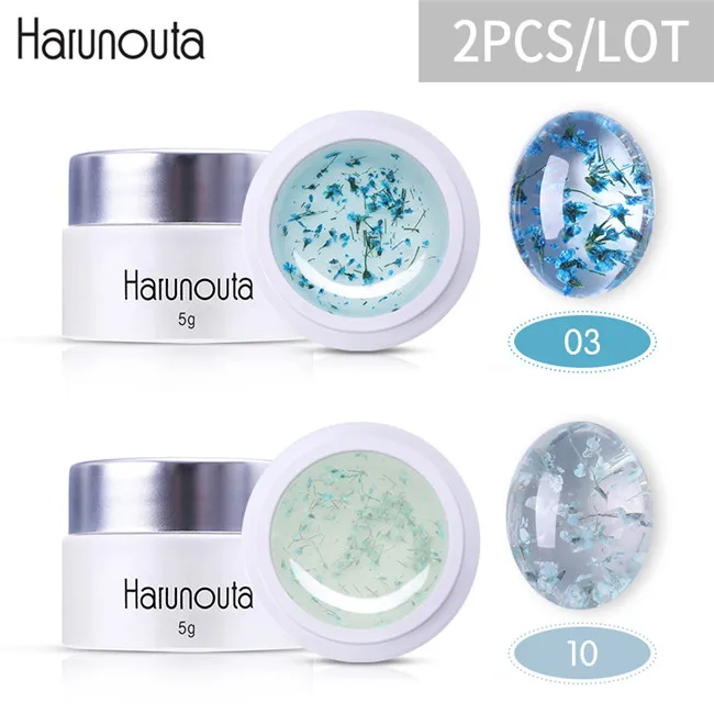 2pcs set9 Harunouta сушеные цветы УФ-гель для ногтей набор Цветочные украшения замочить от ногтей лак наборы лаков Розовый Цвет гель Клей - Цвет: 2pcs set9