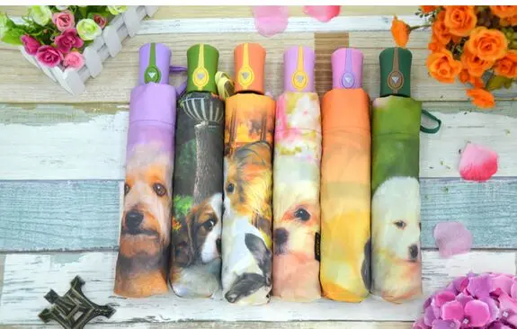 Полностью автоматический зонт для собак RST | Дом и сад