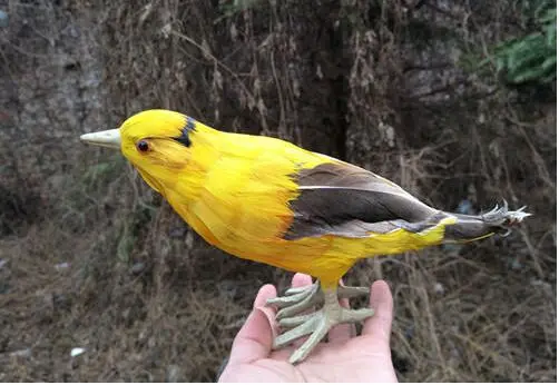 Симпатичная имитация Иволга модель Птица из смолы и меха желтая Oriole подарок