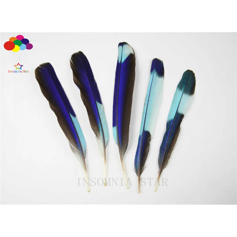 

wholesale beautiful Premium Diy 10-100 PCS natural blue Pheasant Tail Feathers 4-8inch/10-20cm carnival costume headress crafts