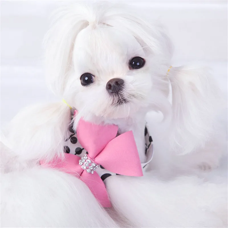 Шлейка для собак в горошек с большим бантом|Наборы| |