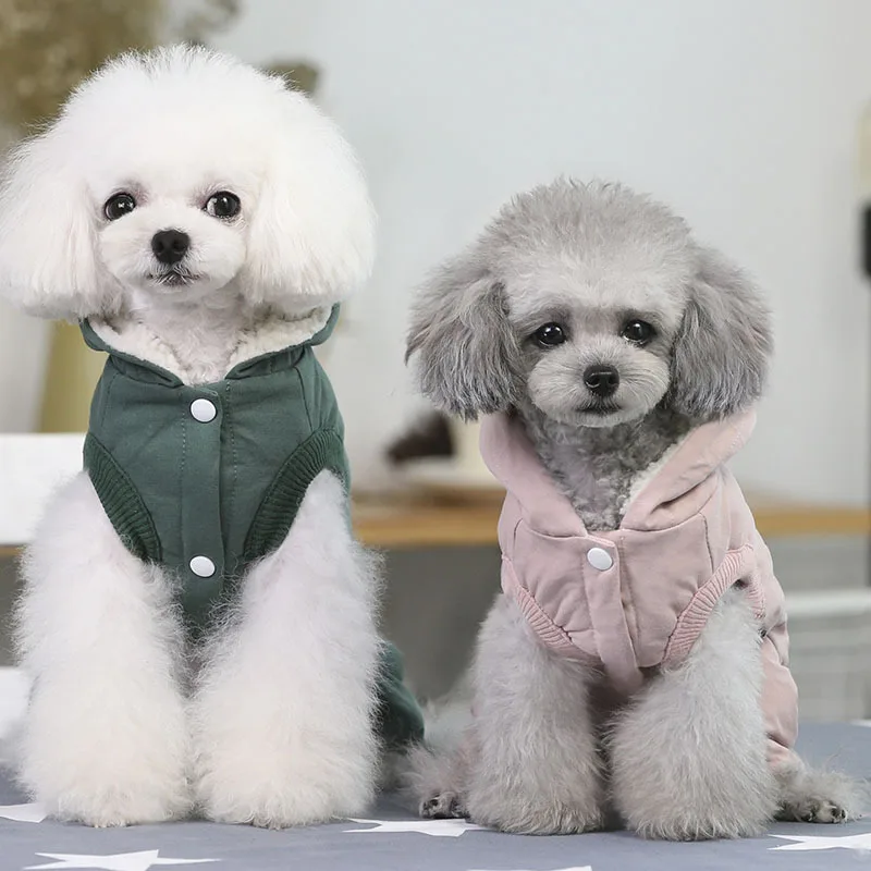 Меньше чем обычно! Зимняя одежда для собак четыре фута домашних животных пар Chiwawa