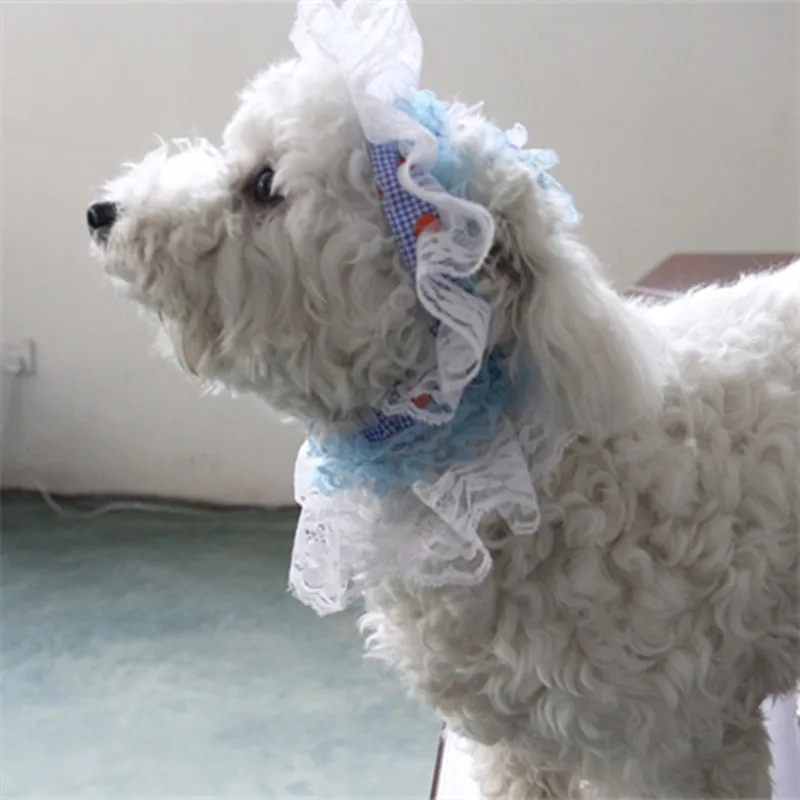 Прекрасный жира домашних собак одежда серии принцесса шляпа кружева кошка