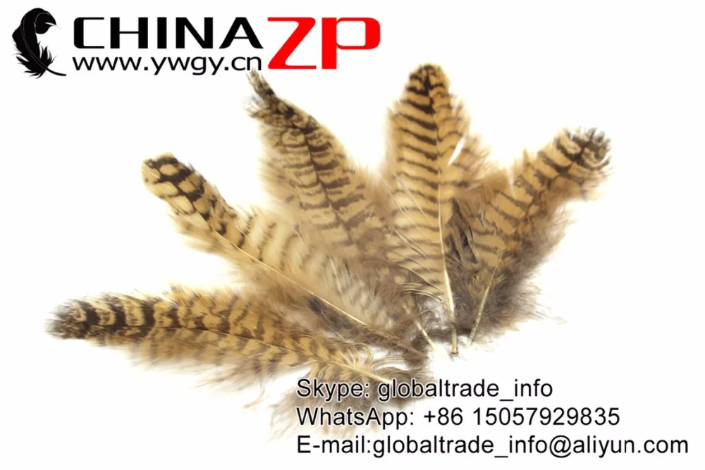 50 шт./Лот 10 15 см 4 6 дюймов|plume feathers|feathers for decorationowl feathers |